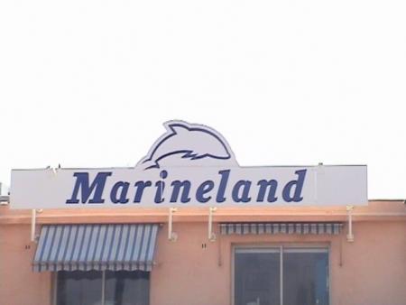 petit tour a marineland